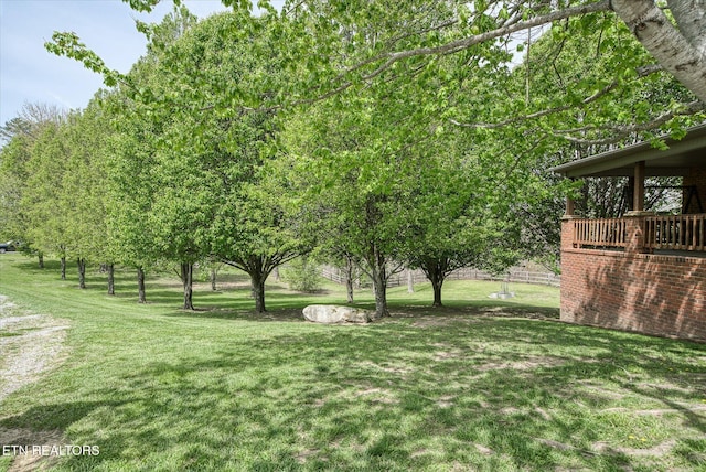 view of yard