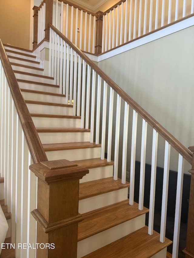 11969 Lakehurst Ln, Knoxville, TN 37934 - stairway with a relaxing sauna