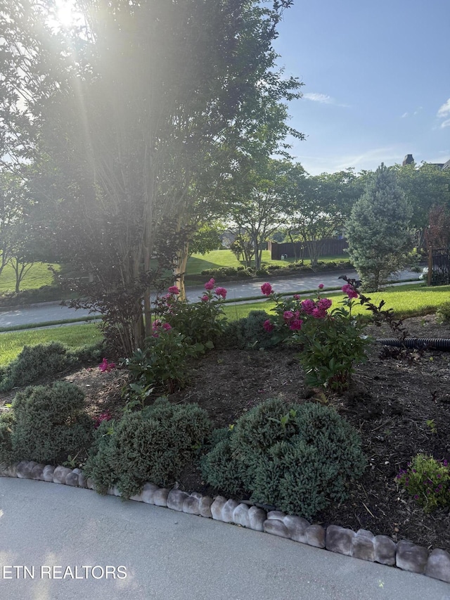 11969 Lakehurst Ln, Knoxville, TN 37934 - view of yard