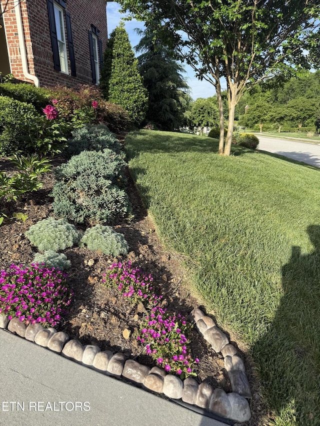11969 Lakehurst Ln, Knoxville, TN 37934 - view of green lawn