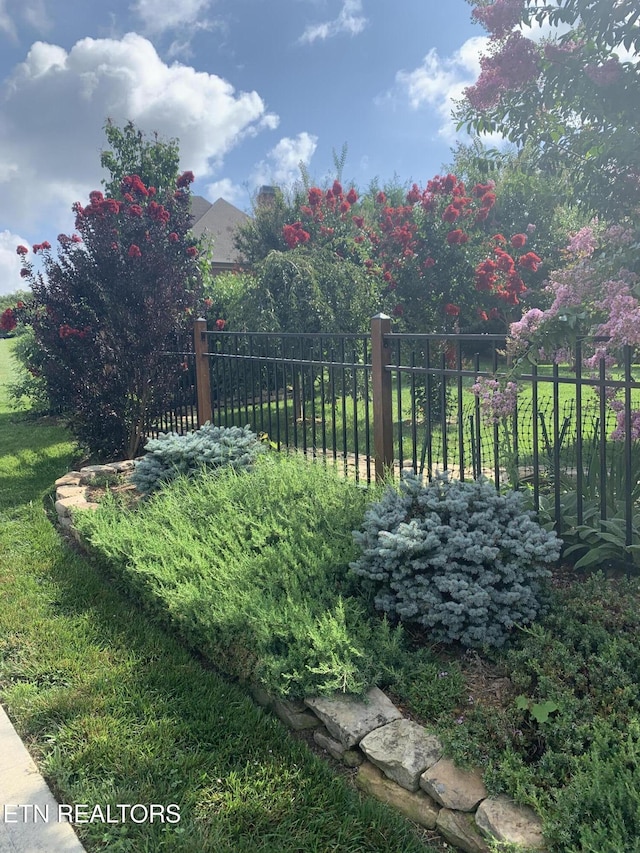 11969 Lakehurst Ln, Knoxville, TN 37934 - view of yard