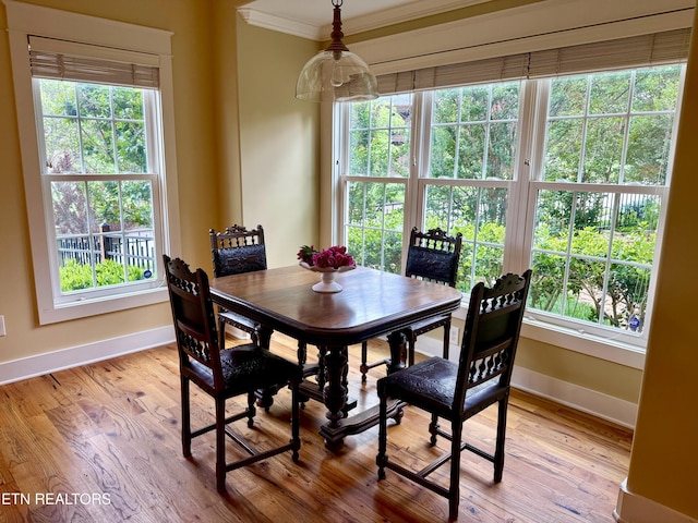 11969 Lakehurst Ln, Knoxville, TN 37934 - dining space featuring baseboards, ornamental molding, plenty of natural light, and light wood-style flooring