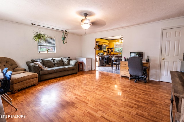living room featuring a healthy amount of sunlight, a ceiling fan, and light wood finished floors