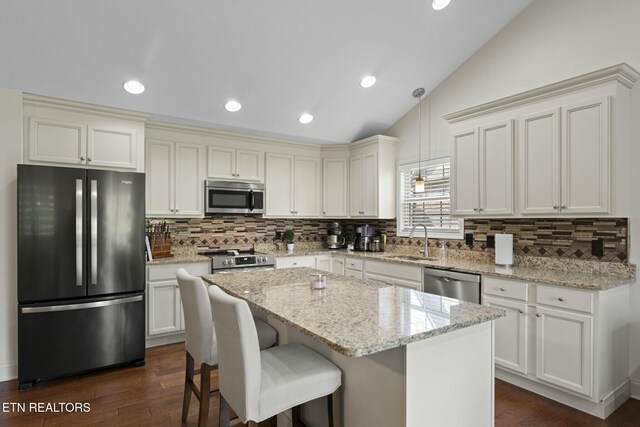 3317 Parrish Hill Ln, Knoxville, TN 37938 - kitchen featuring lofted ceiling, appliances with stainless steel finishes, a sink, and dark wood-style flooring
