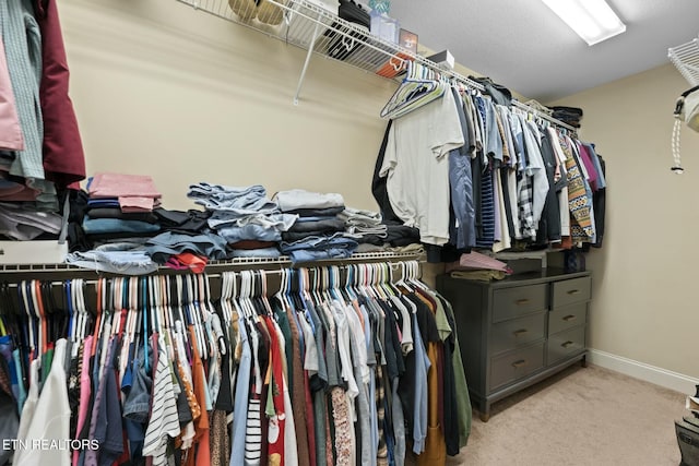 3317 Parrish Hill Ln, Knoxville, TN 37938 - walk in closet with carpet floors