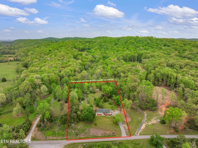 aerial view with a view of trees