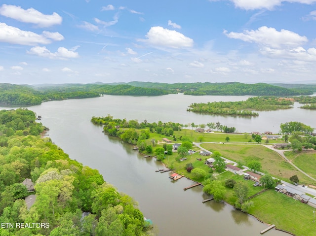 bird's eye view featuring a water view and a view of trees