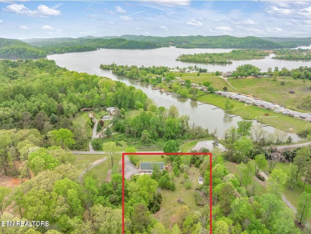 1441 Paint Rock Ferry Rd, Kingston, TN 37763 - photo 1