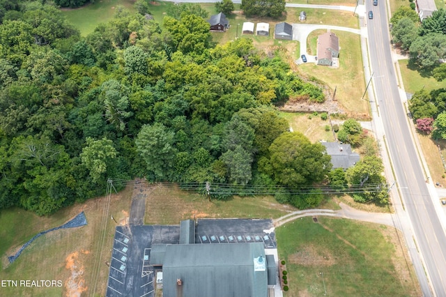 4705 Pleasant Ridge Rd, Knoxville, TN 37912 - photo 4