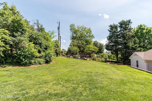 view of yard with fence and a vegetable garden