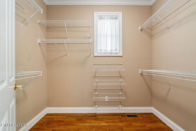 spacious closet featuring visible vents and wood finished floors