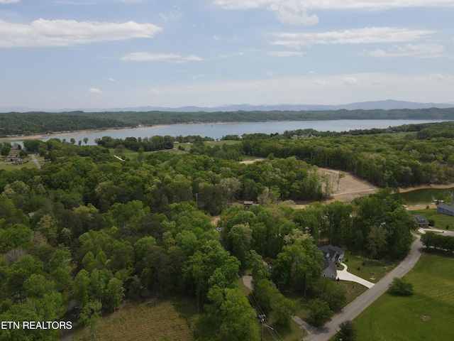 455 Lake Vista Dr, Baneberry, TN 37890 - photo 12