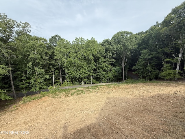 455 Lake Vista Dr, Baneberry, TN 37890 - photo 11