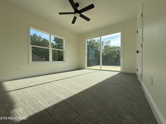 455 Lake Vista Dr, Baneberry, TN 37890 - photo 31