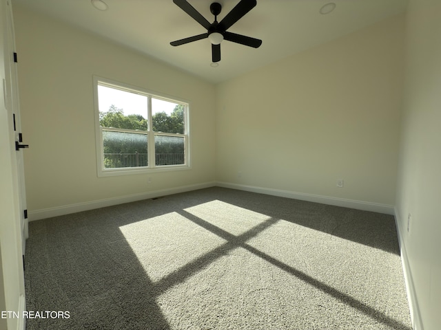 455 Lake Vista Dr, Baneberry, TN 37890 - photo 33