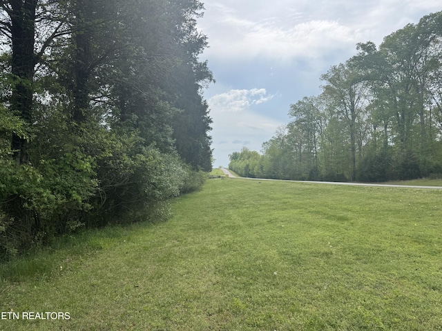 205 W Shore Dr, Rockwood, TN 37854 - photo 2