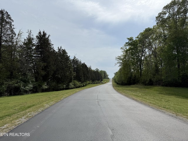 205 W Shore Dr, Rockwood, TN 37854 - photo 3