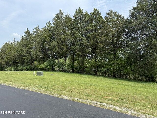 205 W Shore Dr, Rockwood, TN 37854 - photo 4