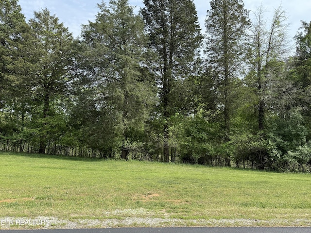 205 W Shore Dr, Rockwood, TN 37854 - photo 1
