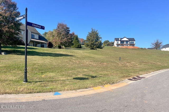 107 Chestnut Ln, Loudon, TN 37774
