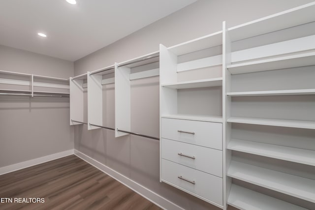spacious closet featuring dark wood-style flooring