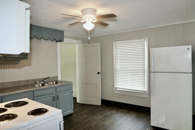 kitchen featuring a sink, ornamental molding, dark wood-type flooring, white appliances, and a ceiling fan