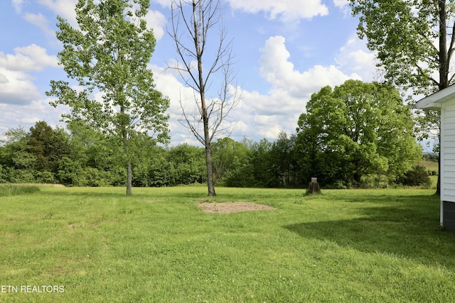 view of yard
