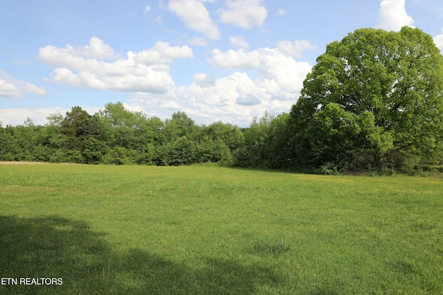 view of local wilderness with a view of trees