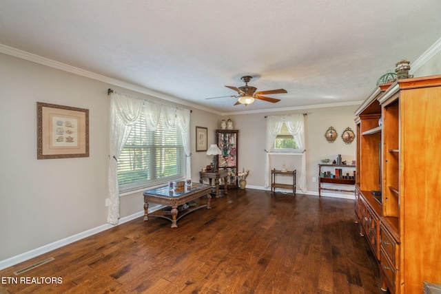 108 Pattie Gap Rd, Philadelphia, TN 37846 - photo 20