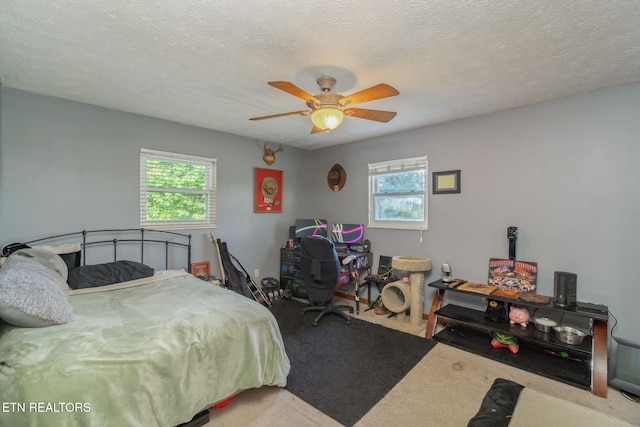 108 Pattie Gap Rd, Philadelphia, TN 37846 - photo 27