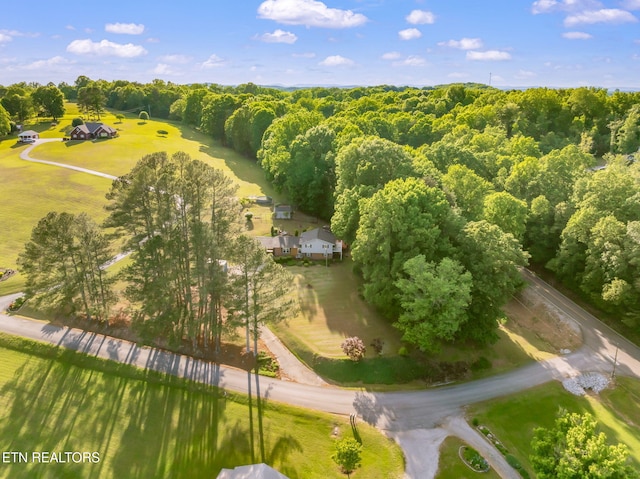 108 Pattie Gap Rd, Philadelphia, TN 37846 - photo 55