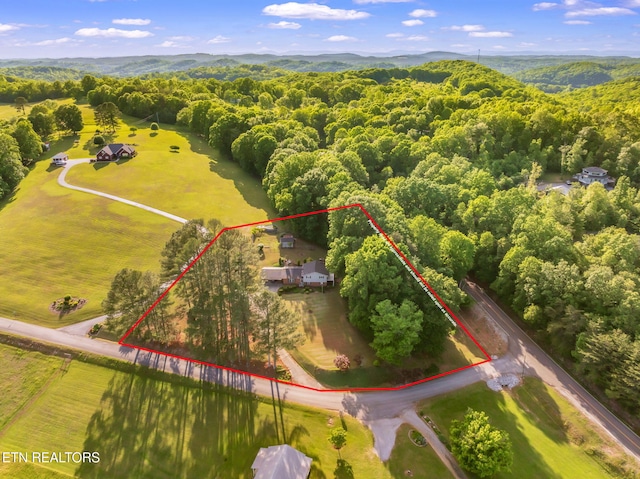 108 Pattie Gap Rd, Philadelphia, TN 37846 - photo 2