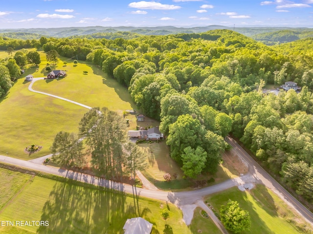 108 Pattie Gap Rd, Philadelphia, TN 37846 - photo 56