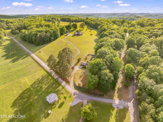 108 Pattie Gap Rd, Philadelphia, TN 37846 - photo 57