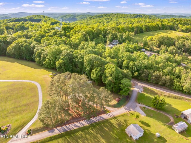 108 Pattie Gap Rd, Philadelphia, TN 37846 - photo 58
