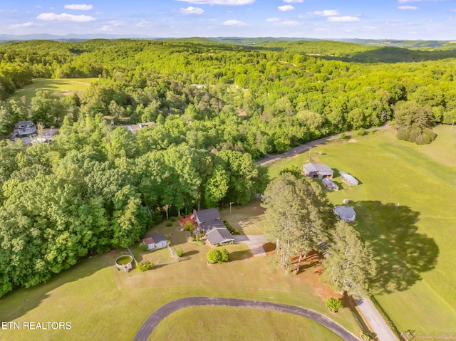 108 Pattie Gap Rd, Philadelphia, TN 37846 - photo 59