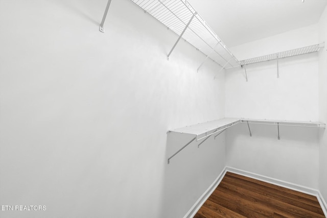 7143 La Christa Way, Knoxville, TN 37921 - spacious closet featuring dark wood-style flooring