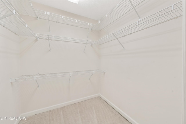 3804 Whitworth Dr, Knoxville, TN 37938 - spacious closet featuring carpet