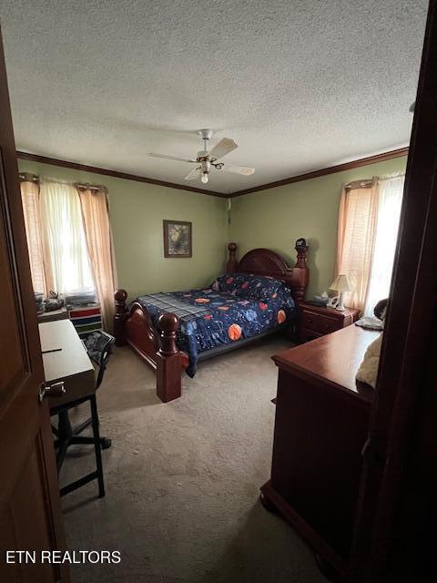 205 Hickory Ln, Jacksboro, TN 37757 - bedroom featuring a textured ceiling, ornamental molding, a ceiling fan, and carpet floors