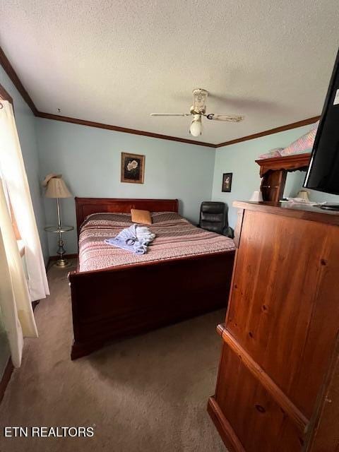 205 Hickory Ln, Jacksboro, TN 37757 - carpeted bedroom with crown molding, a textured ceiling, and a ceiling fan