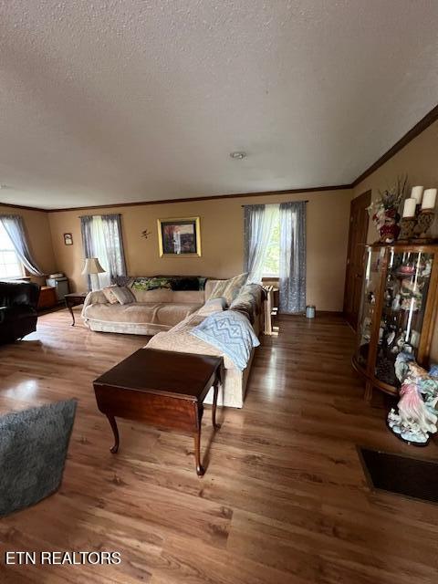 205 Hickory Ln, Jacksboro, TN 37757 - living room with crown molding, wood finished floors, and a healthy amount of sunlight