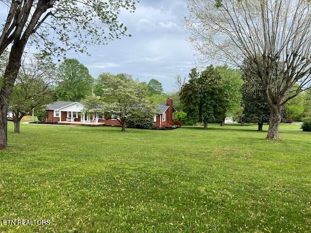 205 Hickory Ln, Jacksboro, TN 37757 - view of yard