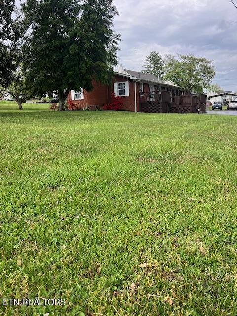 205 Hickory Ln, Jacksboro, TN 37757 - view of yard