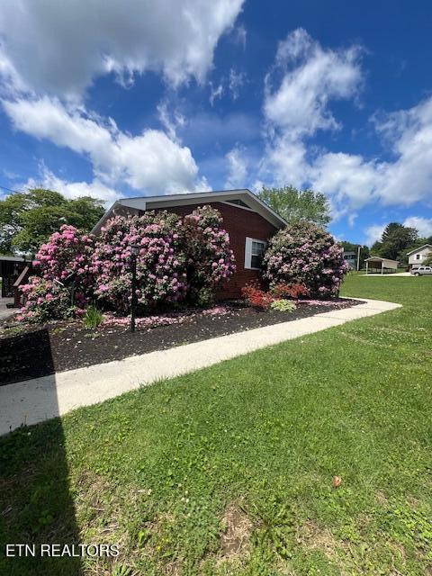 205 Hickory Ln, Jacksboro, TN 37757 - exterior space