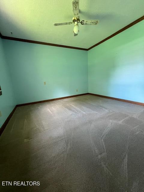 205 Hickory Ln, Jacksboro, TN 37757