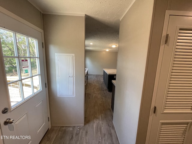 doorway to outside with a textured ceiling and dark wood-type flooring