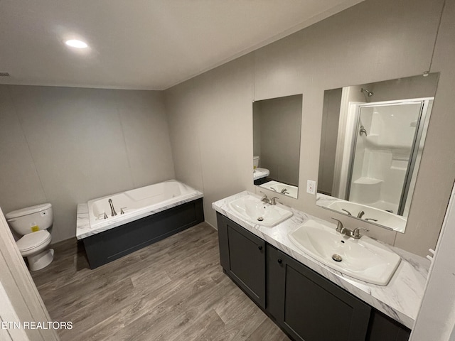full bathroom featuring wood finished floors, a sink, a shower stall, and toilet