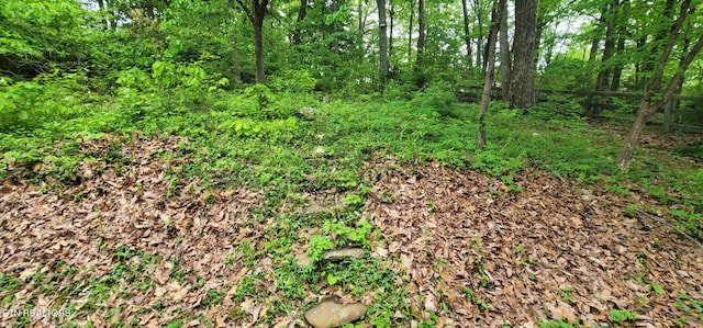 1624 Capitol Blvd, Knoxville, TN 37931 - view of undeveloped land
