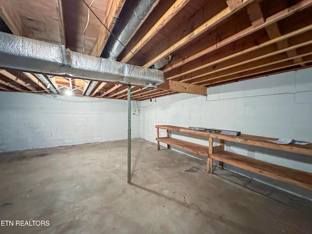 unfinished below grade area with concrete block wall