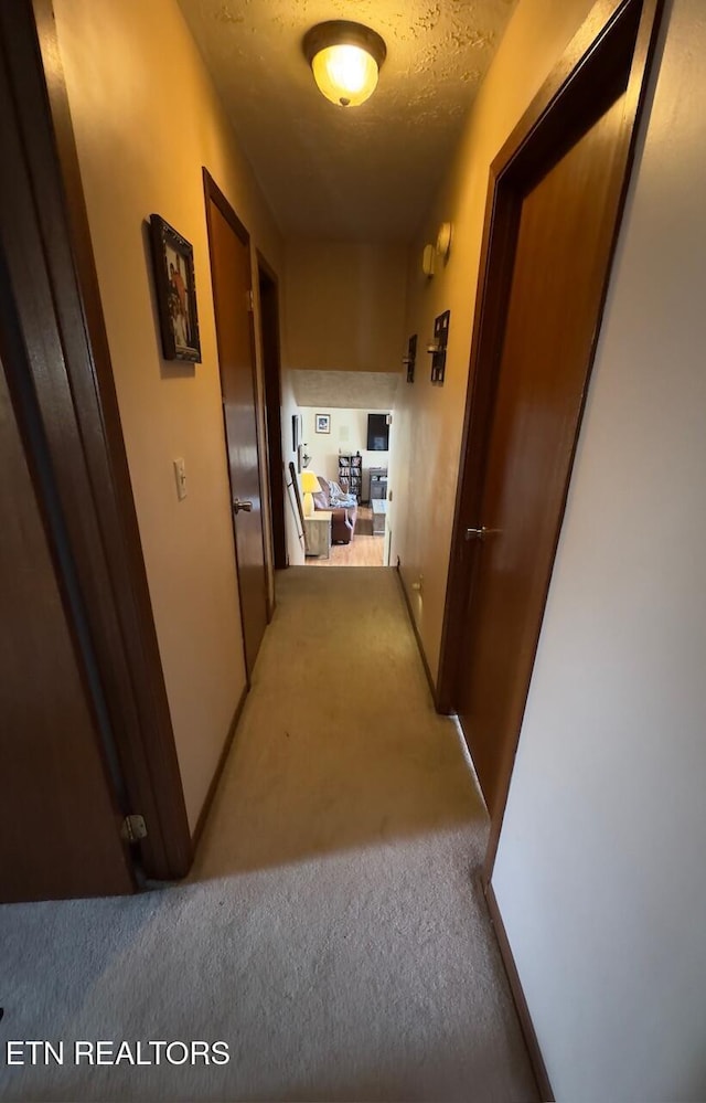 hallway featuring carpet floors